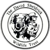 David Sheldrick Wildlife Trust / I Worry