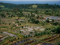 Le pays Toraja sur l'île de Sulawesi