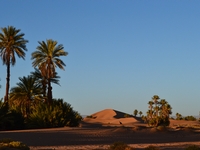 Marche dans le Sahara marocain avec Jean-François Allard - MINI-GROUPE - Dates en 2025 à venir