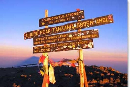 kilimandjaro rencontre au sommet