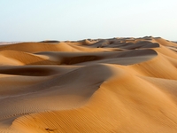 Emirates arabes unies
