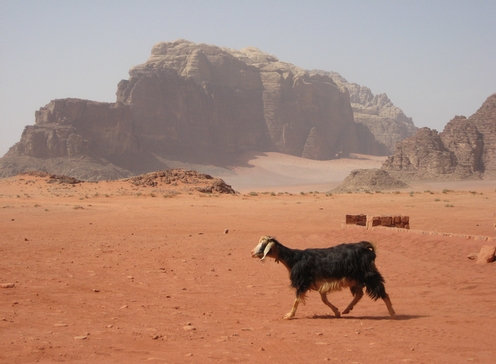 Jordanie