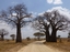 Tanzanie