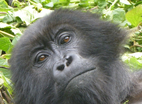 Rwanda