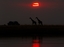 Afrique du Sud