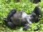 Rwanda