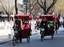 hutong by rickshaw-beijing