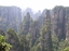 tianzishan - zhangjiajie