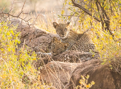 Kenya