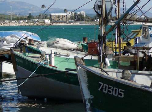Israël