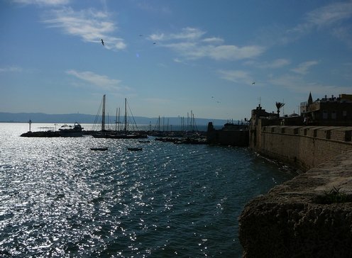 Israël