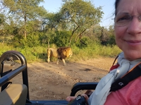 Un voyage en liberté inoubliable en Afrique du Sud