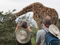 Savane et Océan indien du Kenya