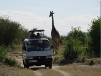 La Tanzanie et Zanzibar