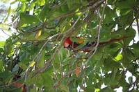 Aventure au Costa Rica