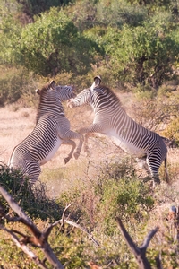 L’organisation au Kenya a été super