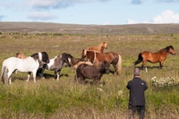 L'Islande à son meilleur