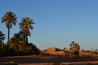 Voyage initiatique dans le Sahara marocain