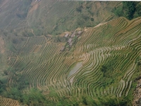 Beauté nature du Vietnam