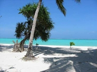 Séjour deluxe dans les îles de Zanzibar