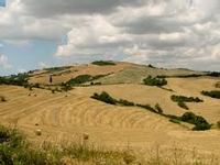 La Toscane des saveurs en auto-tour