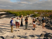 Croisière confortable et intime aux Îles Galapagos de 5 jours - D