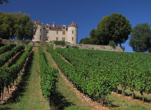 Voyage gastronomique & vendanges en Lot et Garonne