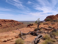 Safari à travers parcs et rivières du nord australien