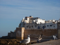 Séjour dans la charmante Essaouira