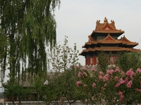 La Chine classique et la superbe région du Yunnan