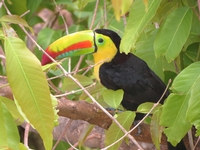 Panama au naturel avec guide-chauffeur