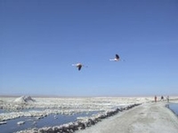 Le désert d'Atacama