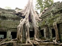 A la découverte des temples