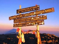 MEILLEUR VENDEUR - Ascension du Kilimanjaro par la voie Machame - MINI-GROUPE - DÉPARTS GARANTIS CHAQUE 16 DU MOIS