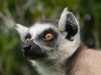 Voyage gourmand au Madagascar