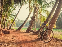 Randonnée et Vélo Inde du Sud