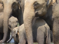 Le Grand tour du Sri Lanka