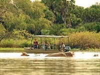 Les perles du Sud Tanzanien : Selous & Ruaha