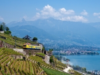 GRANDE DECOUVERTE DE LA SUISSE EN TRAIN