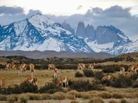 Randonnée et culture au Chile et en Argentine