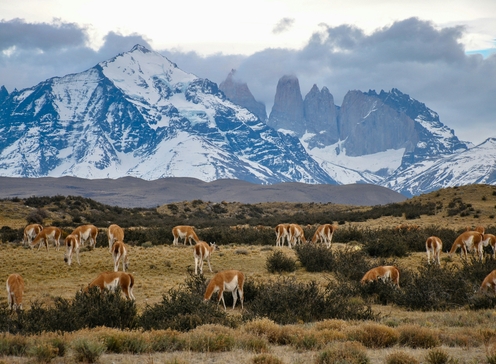 Randonnée et culture au Chile et en Argentine
