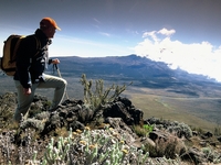 Ascension du Kilimandjaro par la voie Shira, via le nord et Mawenzi, via le cratère - MINI-GROUPE